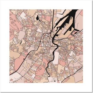 Belfast Map Pattern in Soft Pink Pastels Posters and Art